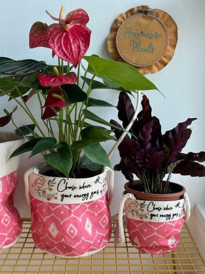 Fuchsia Dreams: Positive Energy Planters - Set of 3