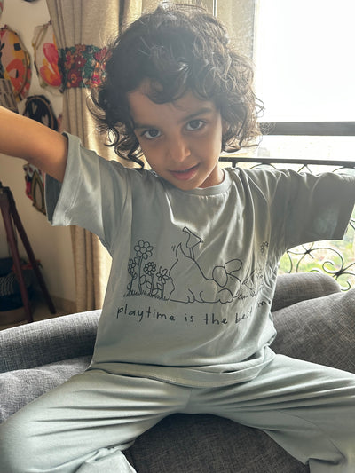 Playful Pals Gray Blue Co-Ord Set