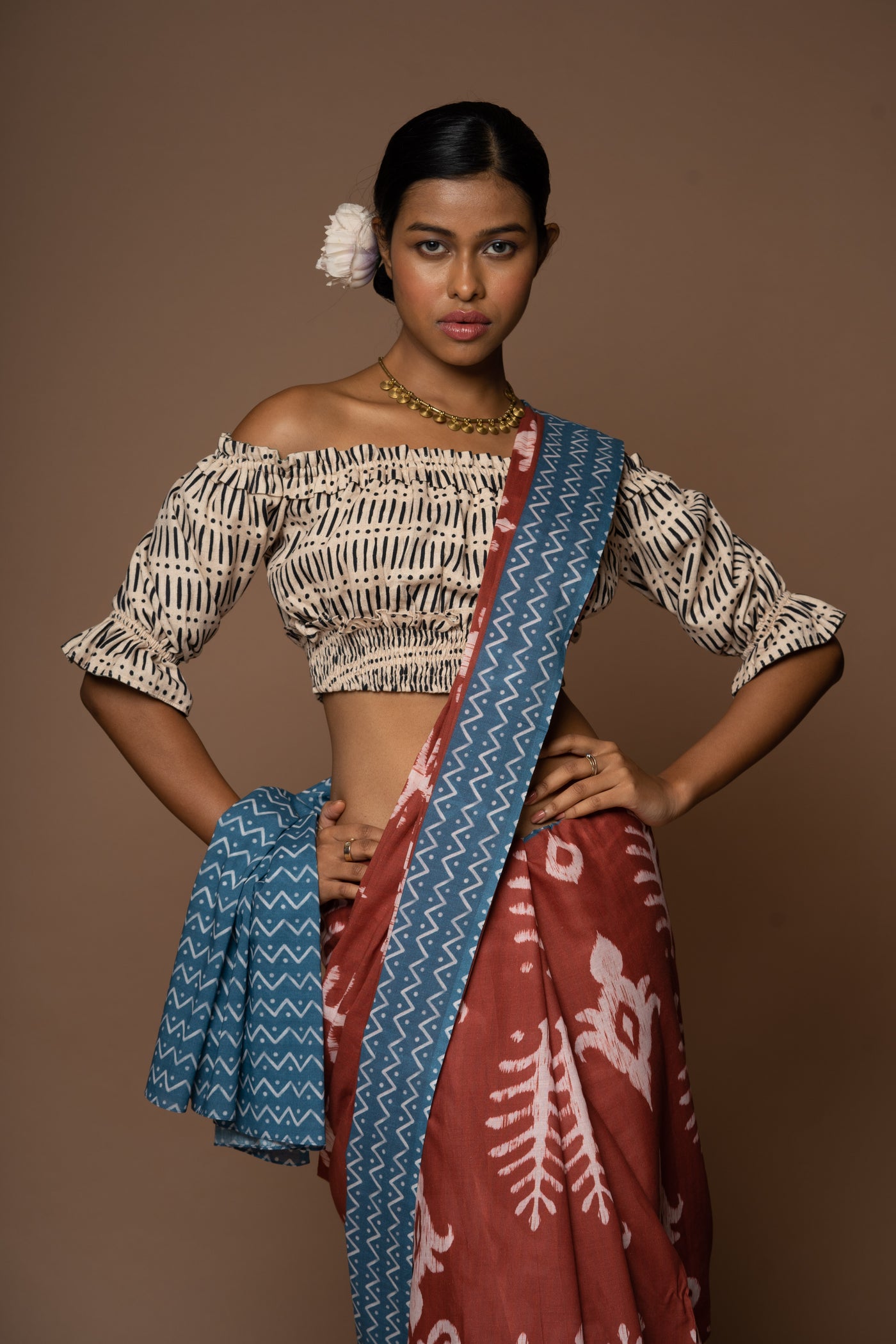 Chic in the Valley Cotton Sari